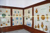 Images of Central Museum Jaipur: image 5 0f 24 thumb