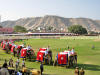 Images of Elephant Festival Jaipur: image 13 0f 24 thumb