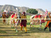 Images of Elephant Festival Jaipur: image 11 0f 24 thumb
