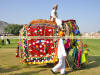 Images of Elephant Festival Jaipur: image 4 0f 24 thumb