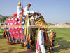 Images of Elephant Festival Jaipur: image 1 0f 24 thumb