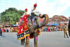 Images of Teej Festival Jaipur: image 8 0f 18 thumb