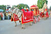 Images of Teej Festival Jaipur: image 6 0f 18 thumb