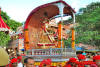 Images of Teej Festival Jaipur: image 15 0f 18 thumb